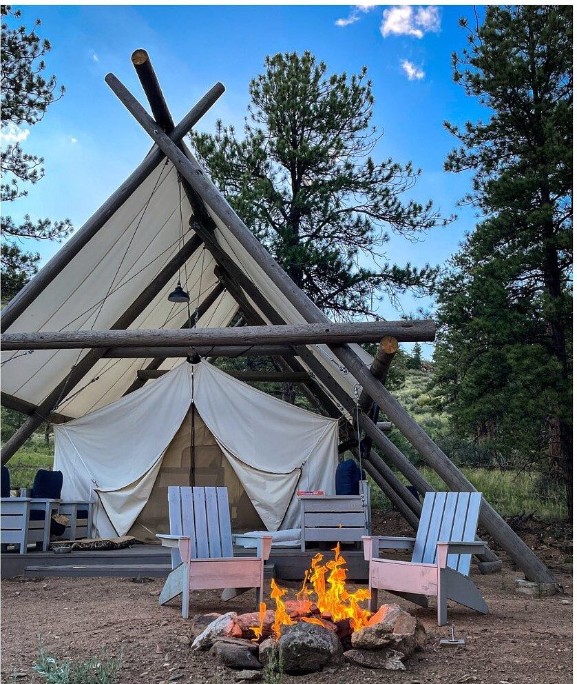 Black Tree Resort