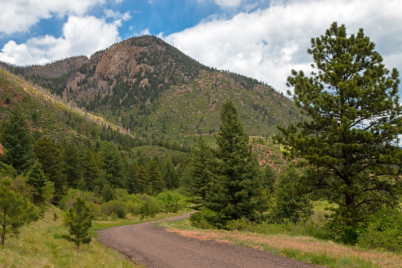 Blodgett Peak