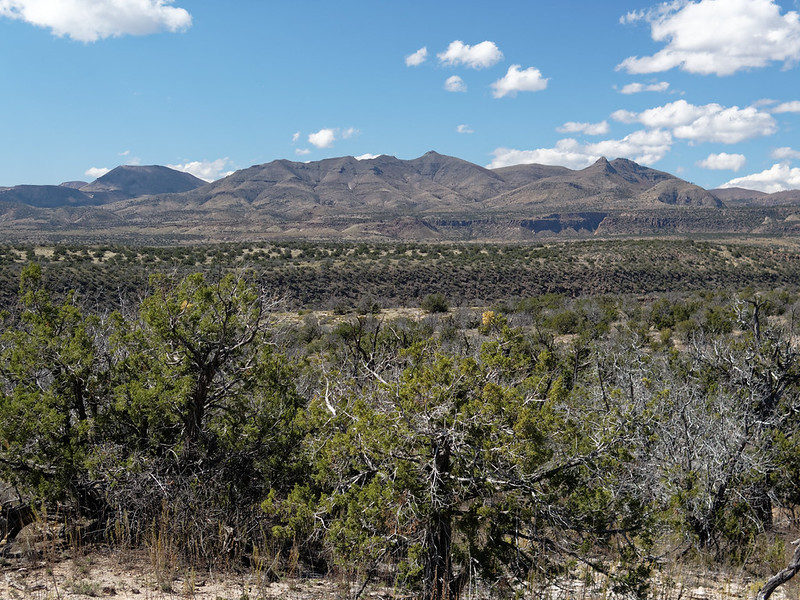 Burro Trail