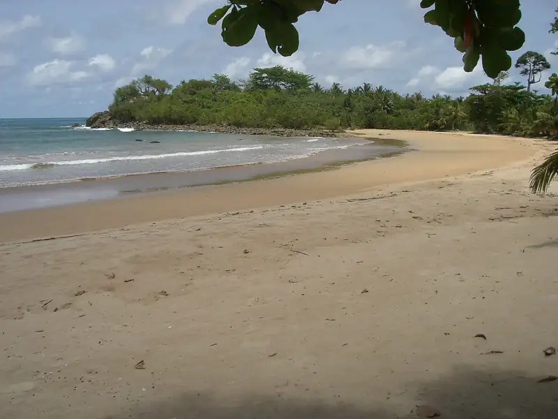 Busua Beach Coastal Escape Experience