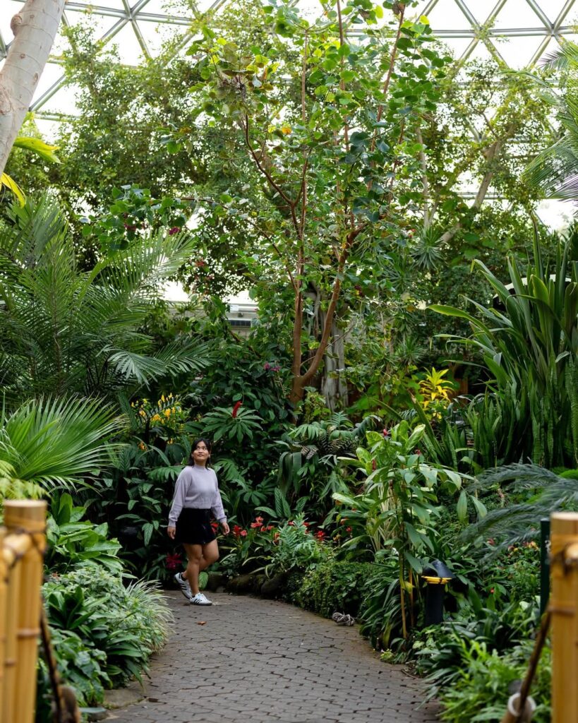 Butterfly Pavilion