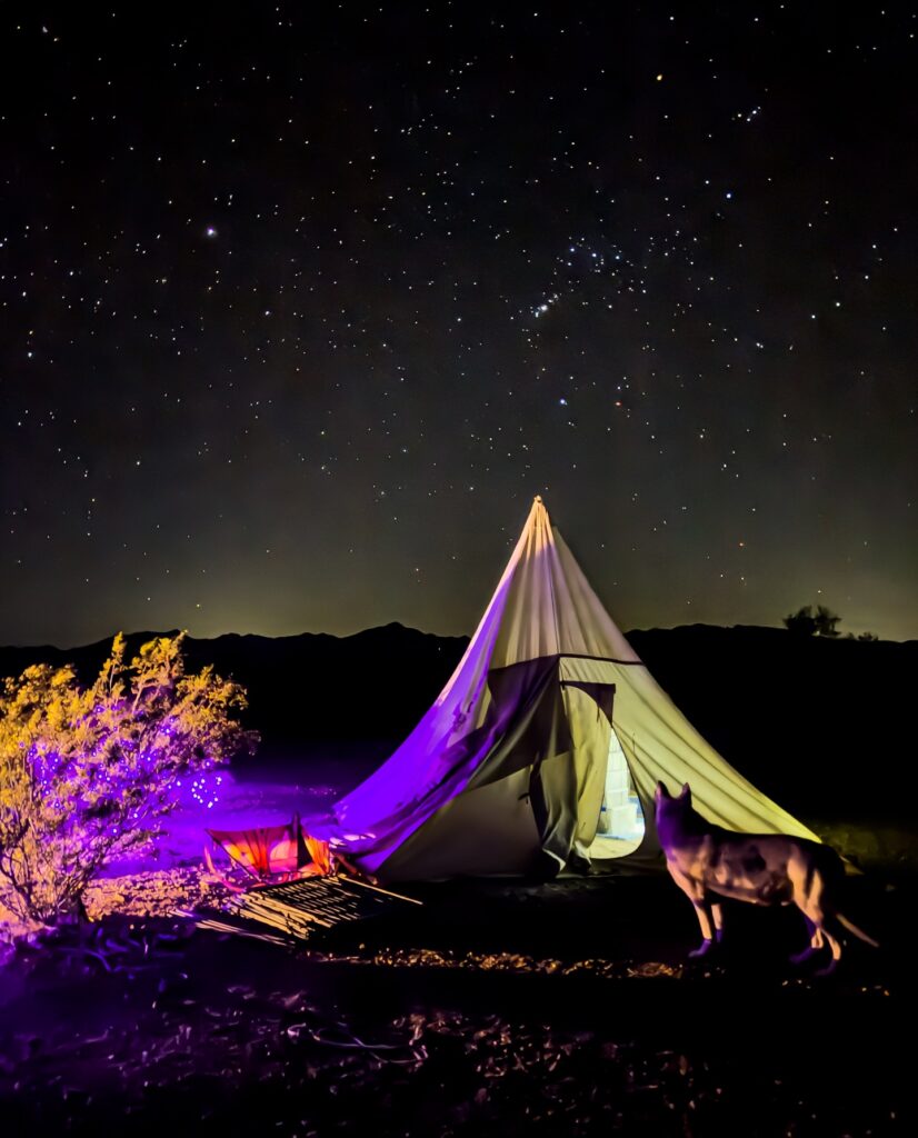 Camp Out Under the Stars