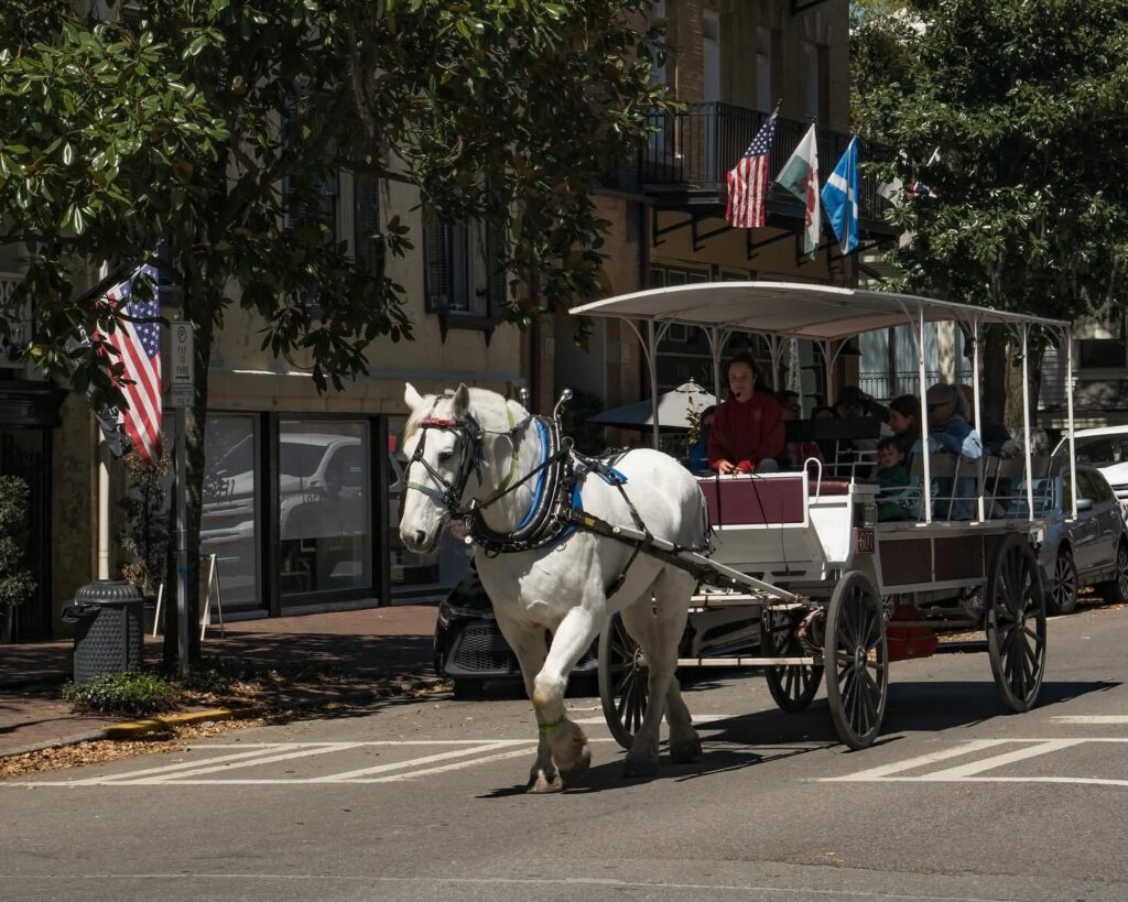 Carriage Ride, Savannah