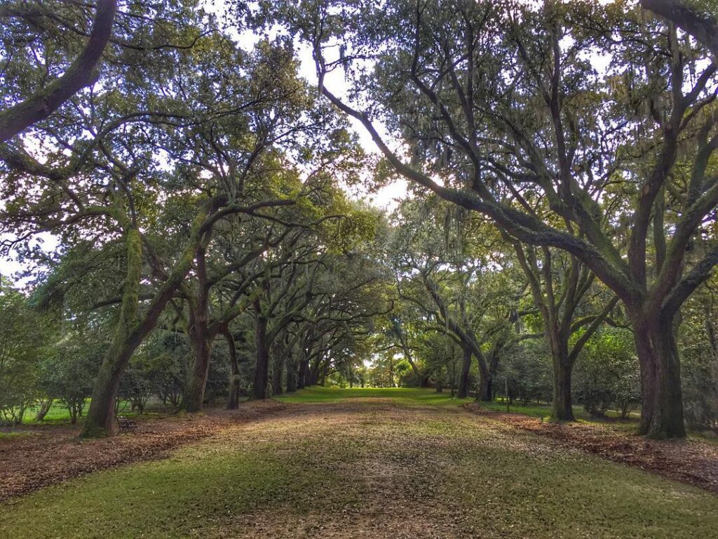 Charles Towne Landing State Historic Site