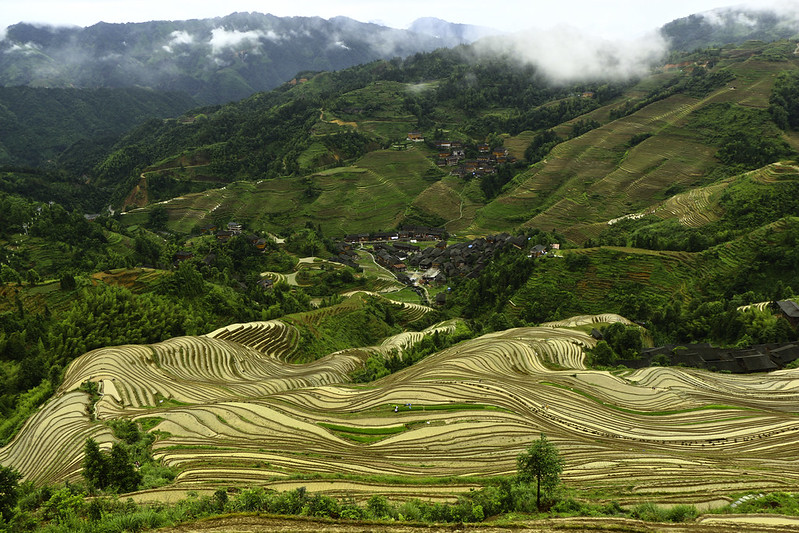 China for Solo Female Travelers