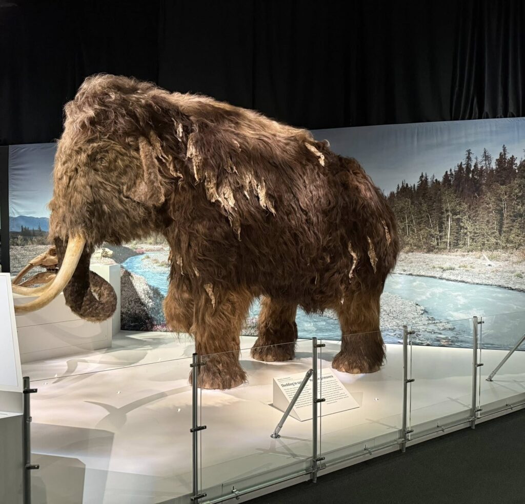 Denver Museum of Nature & Science