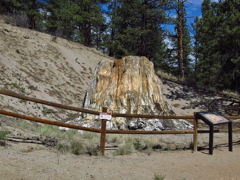 Discover Prehistoric Delight at Florissant Fossil Beds National Monument
