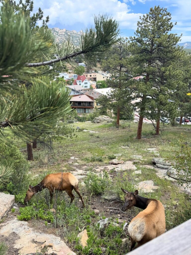 Estes Park, Colorado