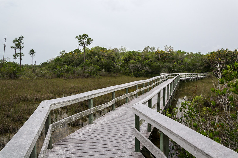 Everglades National Park