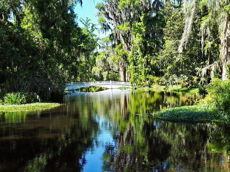 Explore Charleston’s Plantations Magnolia, Middleton, and Drayton Hall