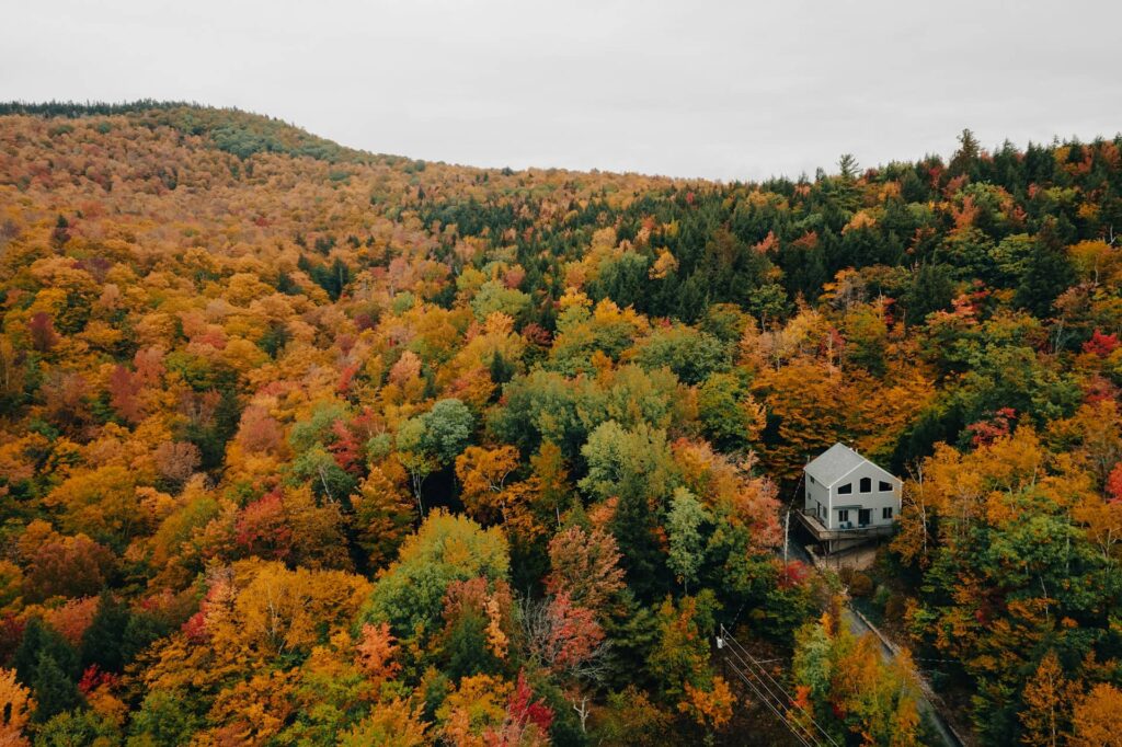 Fall Foliage in Charleston