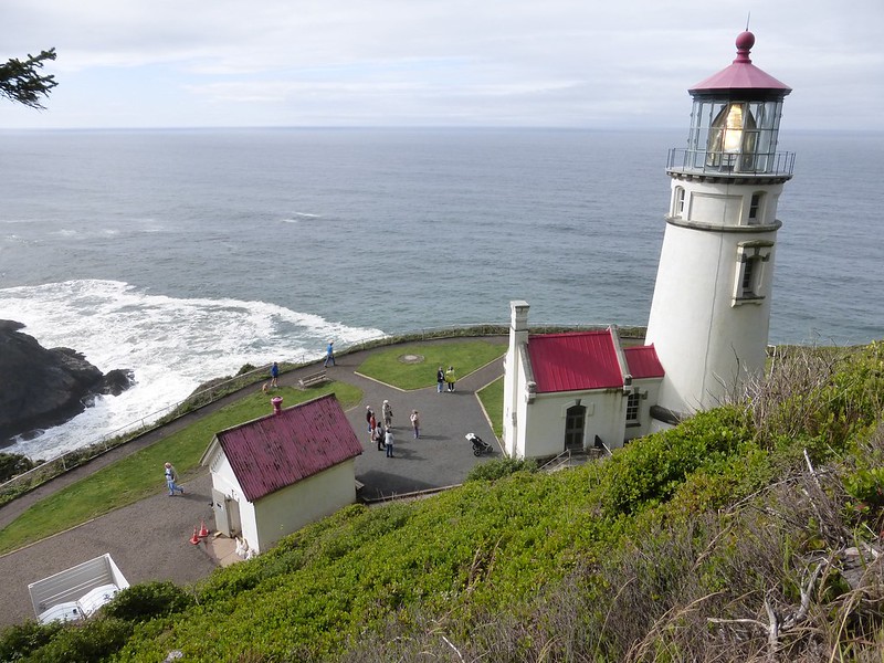 Florence Sand Dunes and Ocean Wildlife