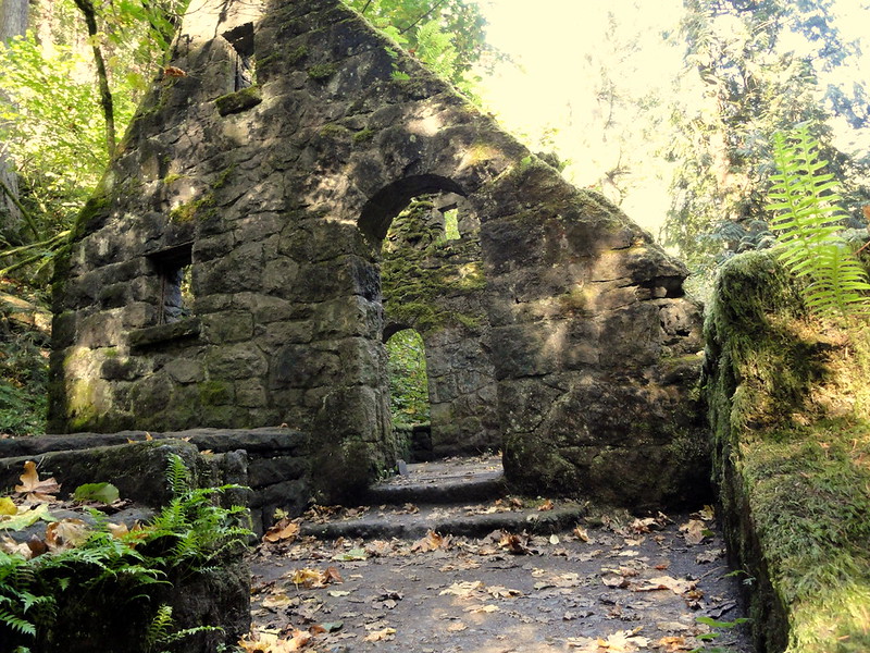 Forest Park