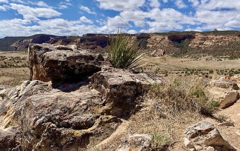 Grand Junction