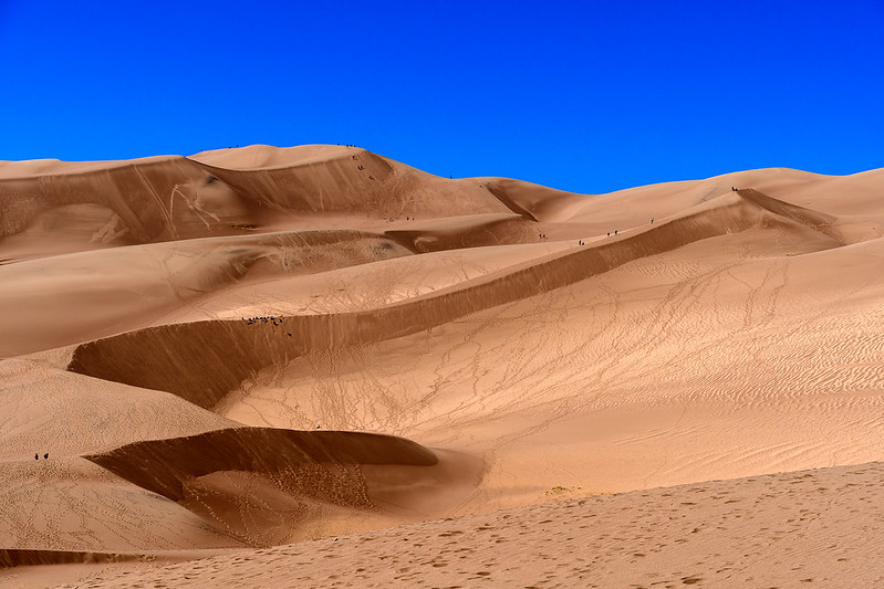 Great Sand Dunes National Park (Embrace the Majesty)