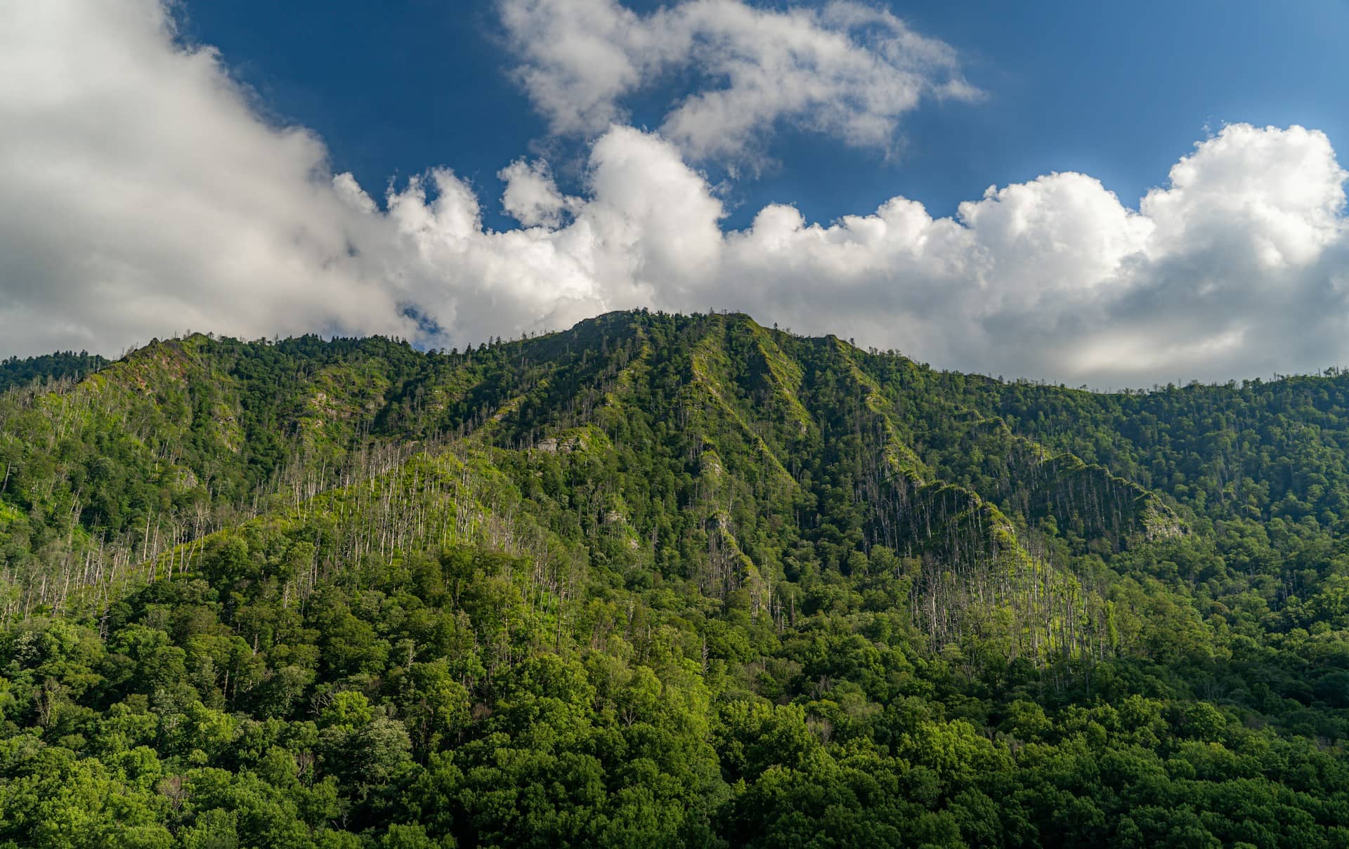 Great Smoky Mountains National Park, Gatlinburg