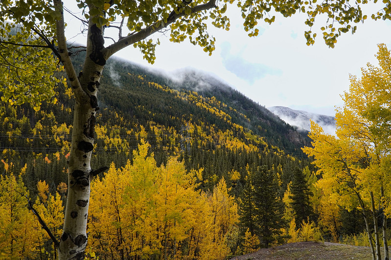 Guanella Pass