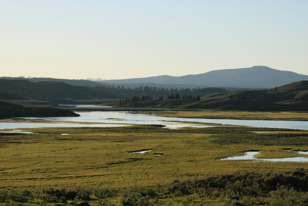 Hayden Valley
