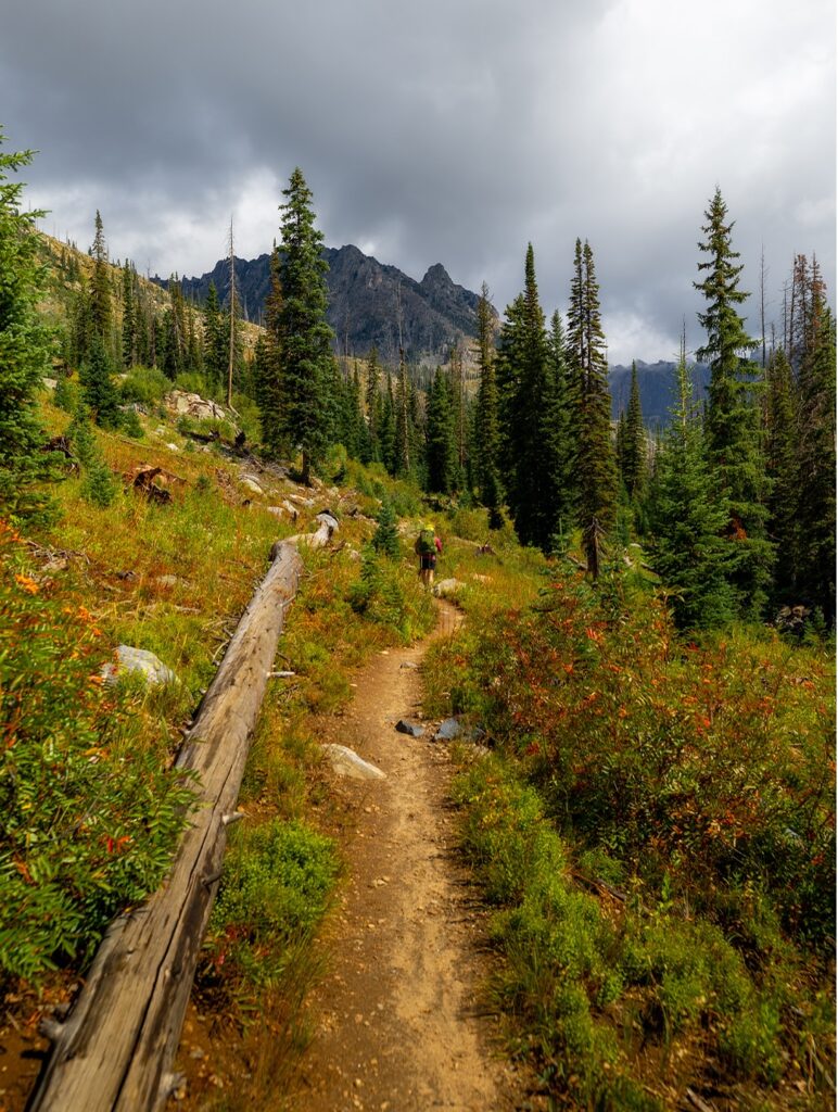 Hiking in Steamboat Springs