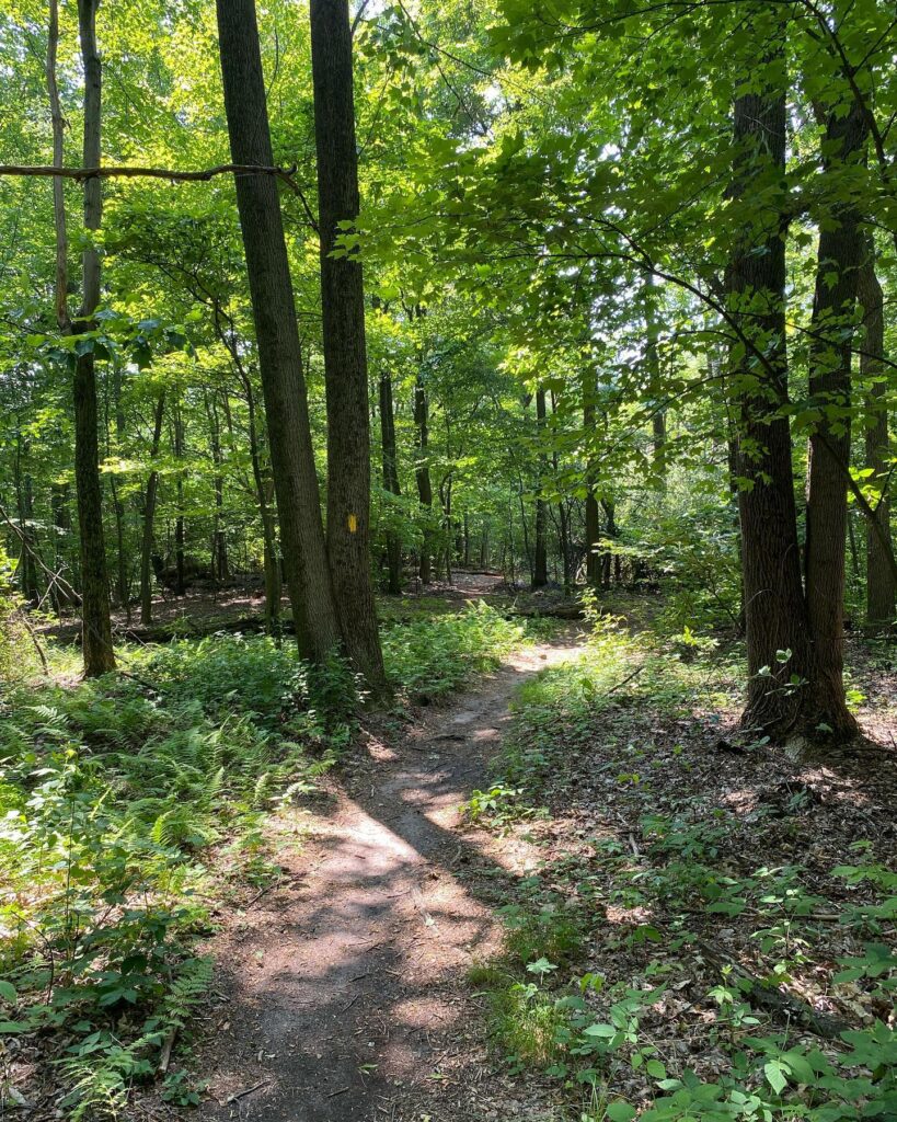 Horseshoe Trail