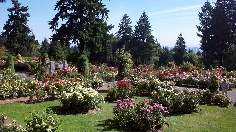 International Rose Test Garden