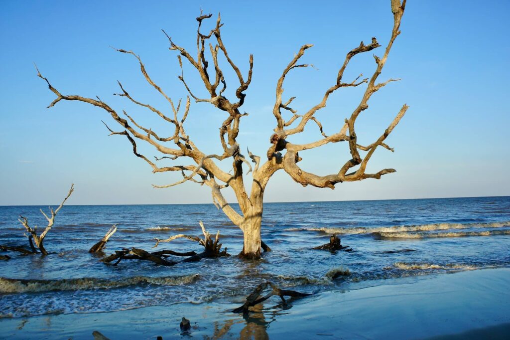 Jekyll Island, Georgia, USA