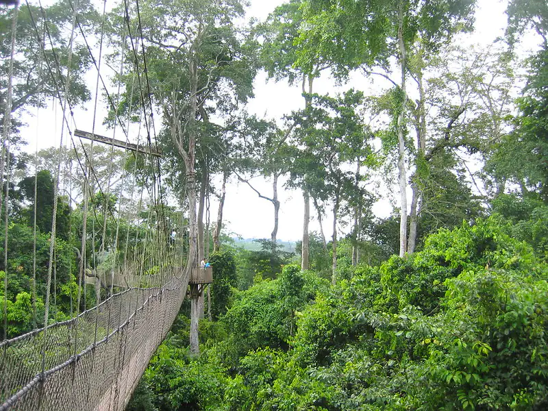 Kakum National Park
