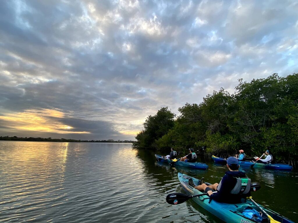 Kayak and Paddleboard Tour