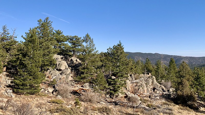 Kruger Rock Trail
