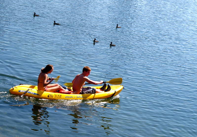 Lady Bird Lake