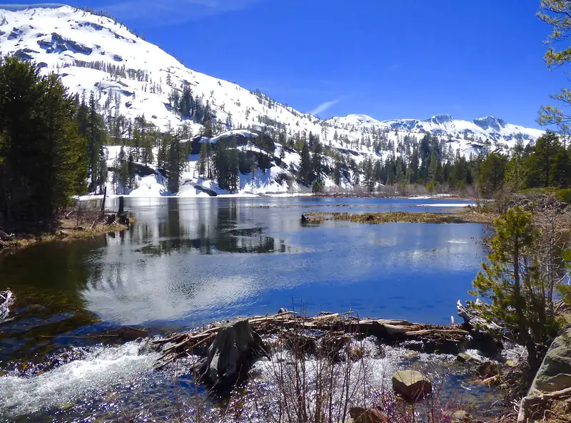 Lily Lake