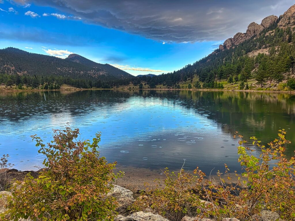Lily Lake