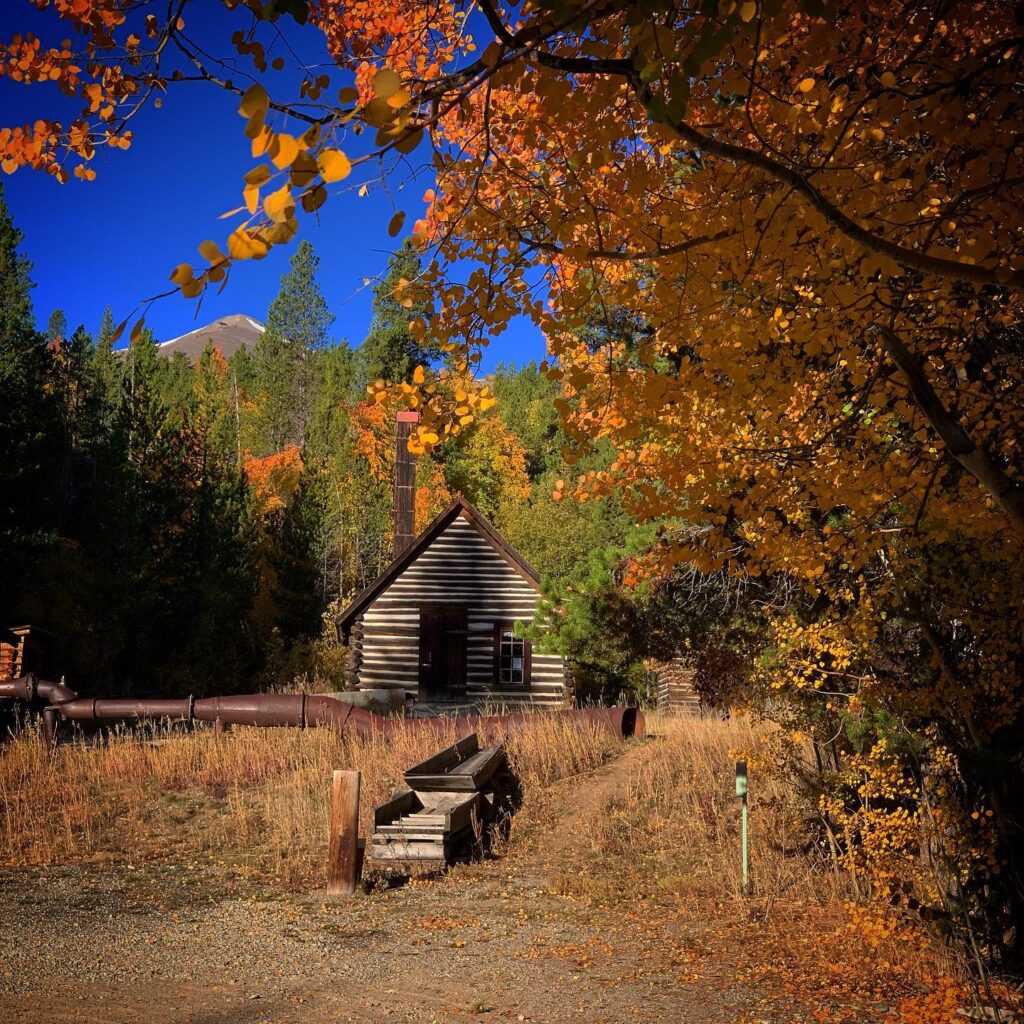 Lomax Placer Mine