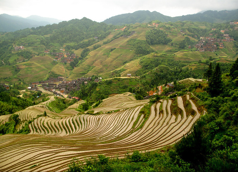 Longji Rice Terraces, Guilin – A Stairway Across the Hills