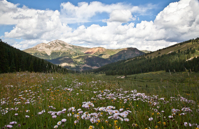 Mayflower Gulch