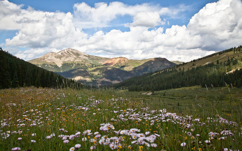 Mayflower Gulch