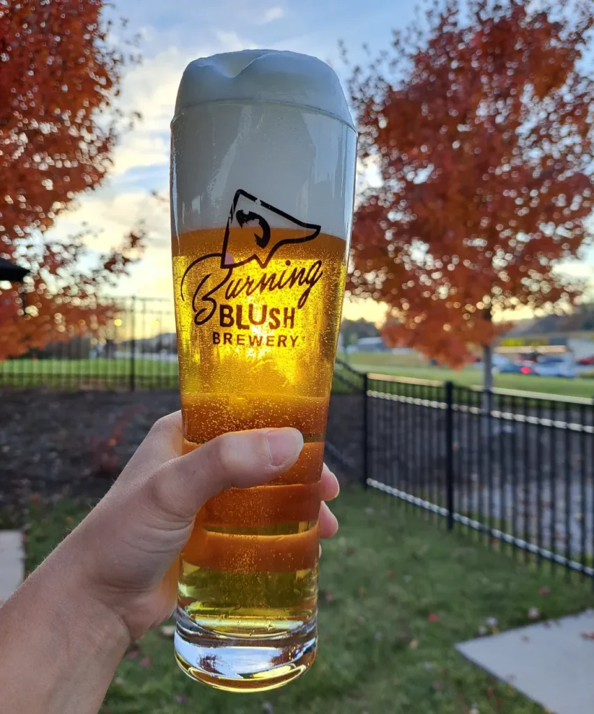 Mills River Trails by Day, Pints by Night 1