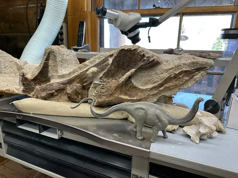 Morrison Natural History Museum
