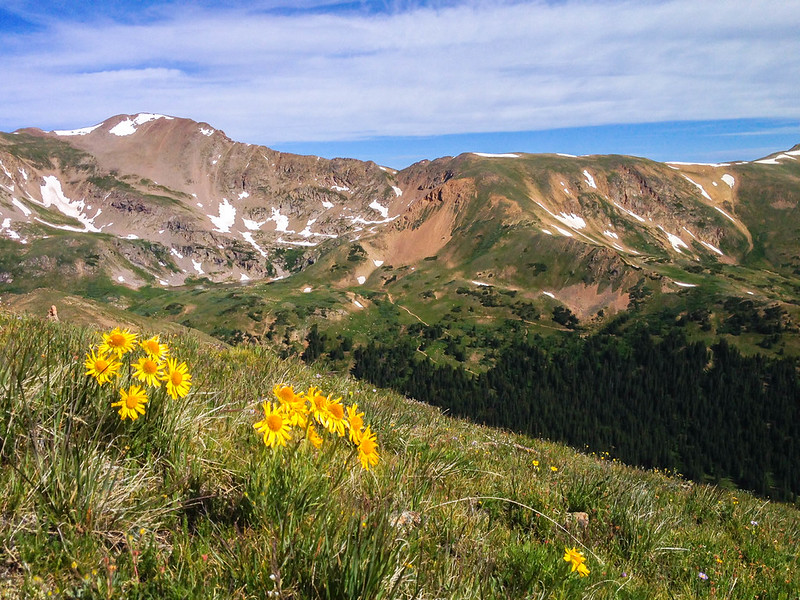 Mt. Herman