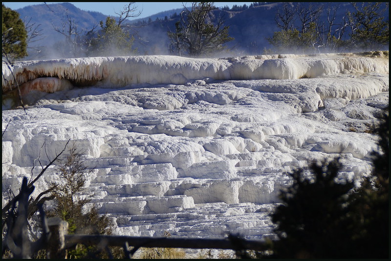 Norris Geyser Basin