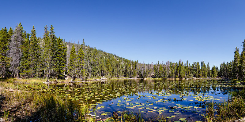 Nymph Lake