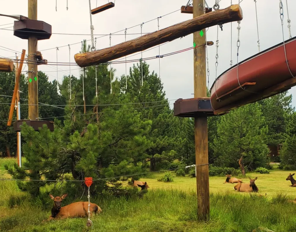 Open Air Adventure Park