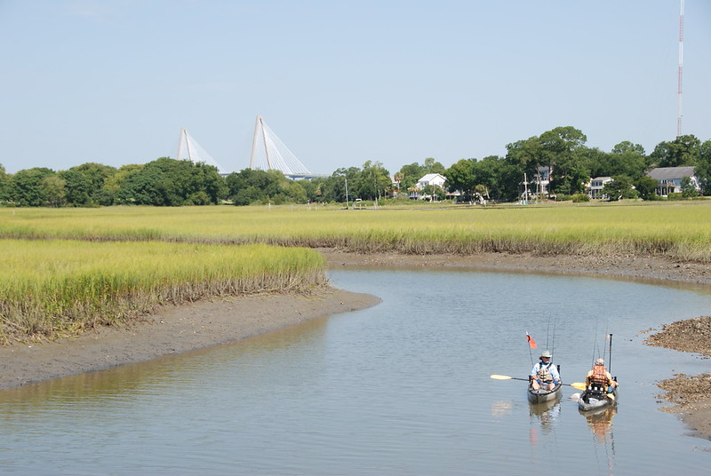 Paddle Boarding on Shem Creek 1