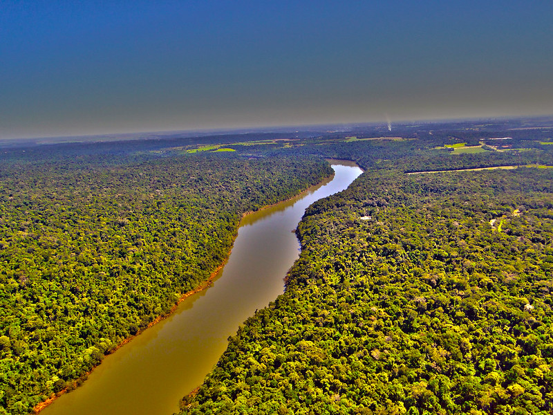 Pantanal Adventure Into Brazil’s Wild Wetlands