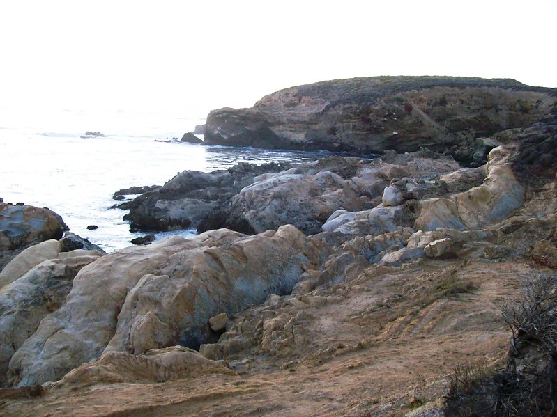 Point Lobos
