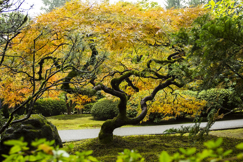 Portland Japanese Gardens, Oregon