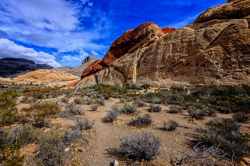 Red Rock Canyon