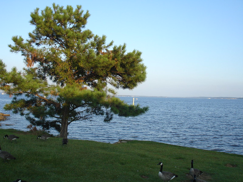 Ridgeland, Mississippi: A Scenic Escape with Rich History