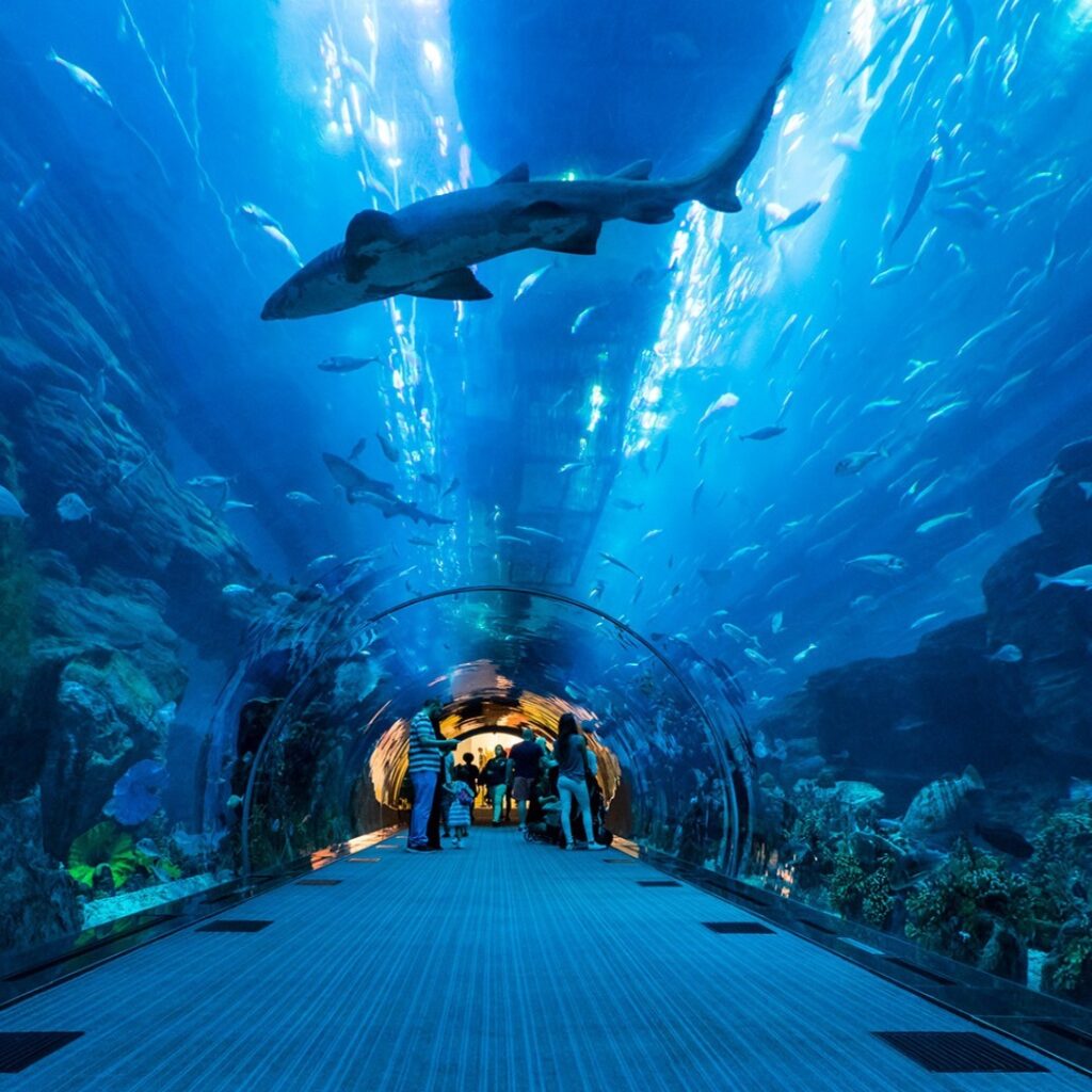Ripley’s Aquarium of Myrtle Beach