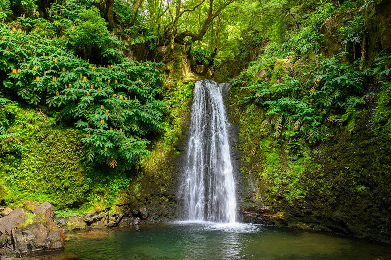São Miguel, Azores: A Hidden Paradise in Portugal